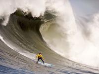 FB体育官方网站-莫兰特关键战不手软！马刺对阵开拓者，新星闪耀改写格局