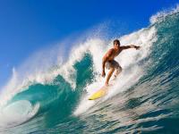 FB体育赛事-末节风暴，辽宁队如何用F1式战术焦点战击溃广厦