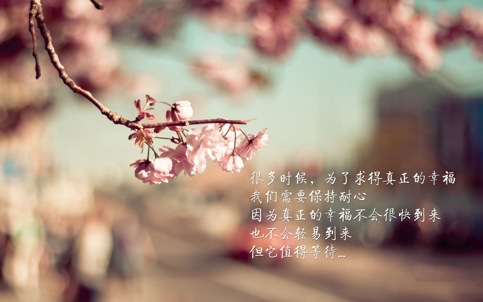 萨拉赫闪耀北非德比，一粒进球改写历史，西班牙险胜突尼斯背后的战术博弈