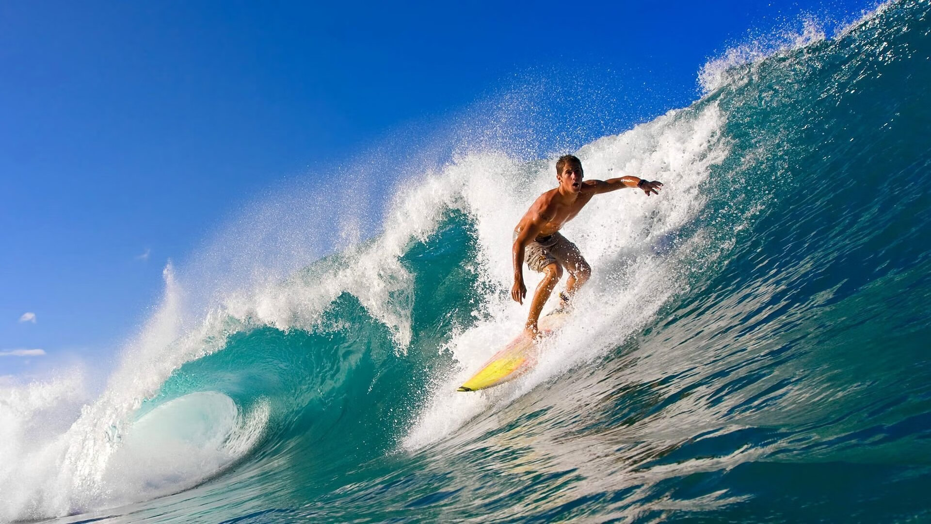 末节风暴，辽宁队如何用F1式战术焦点战击溃广厦