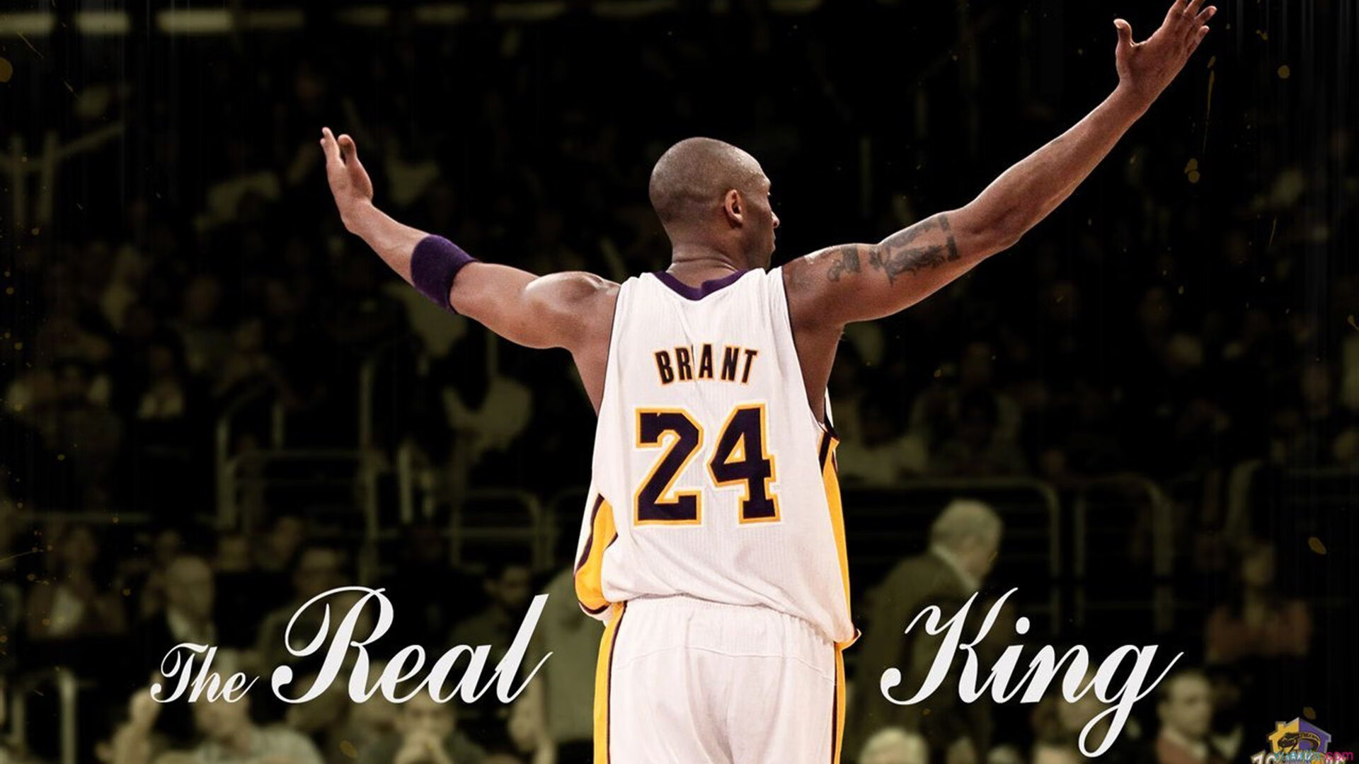 红土之巅，法网横扫美网，纳达尔关键制胜的终极密码